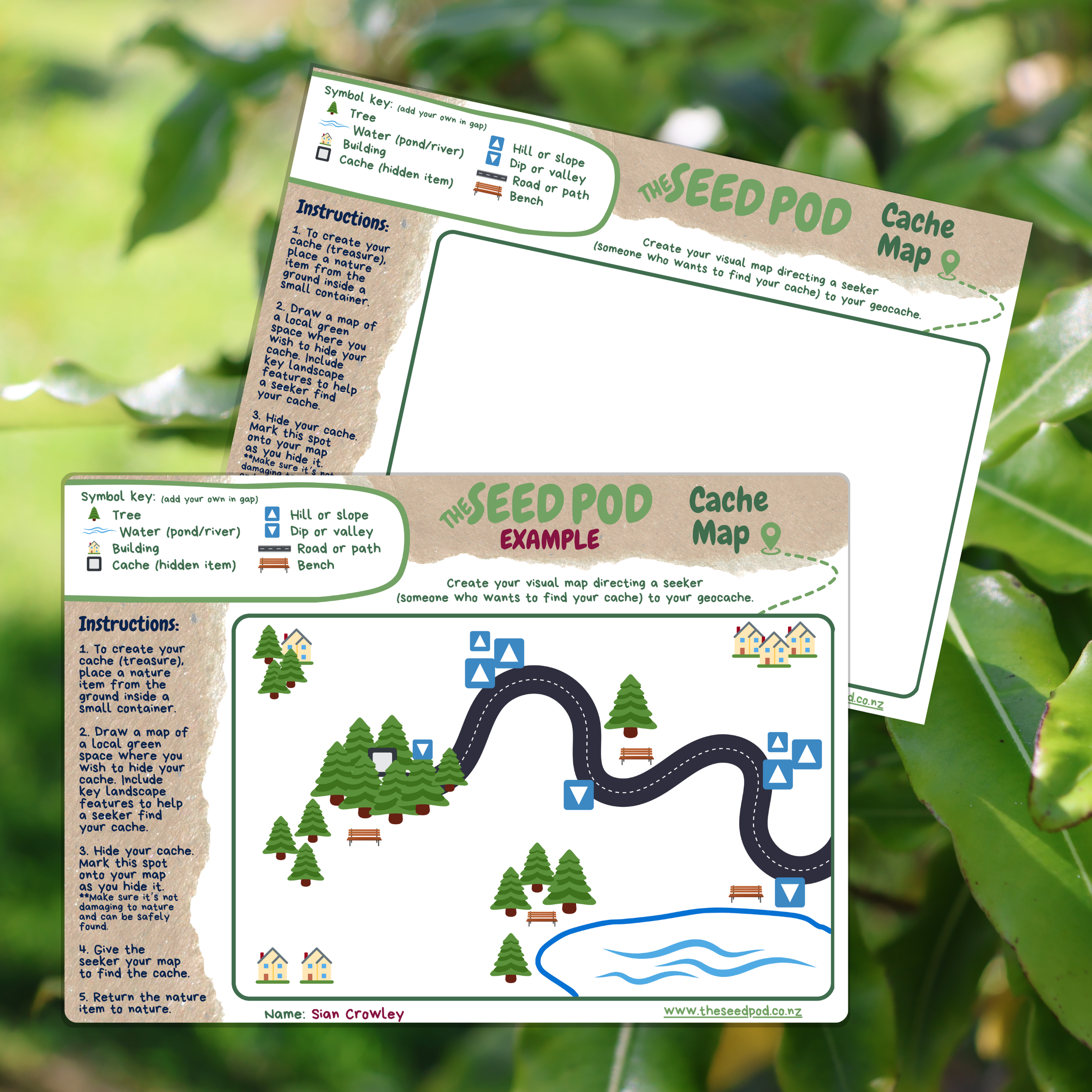 Cache Mapping — The Seed Pod