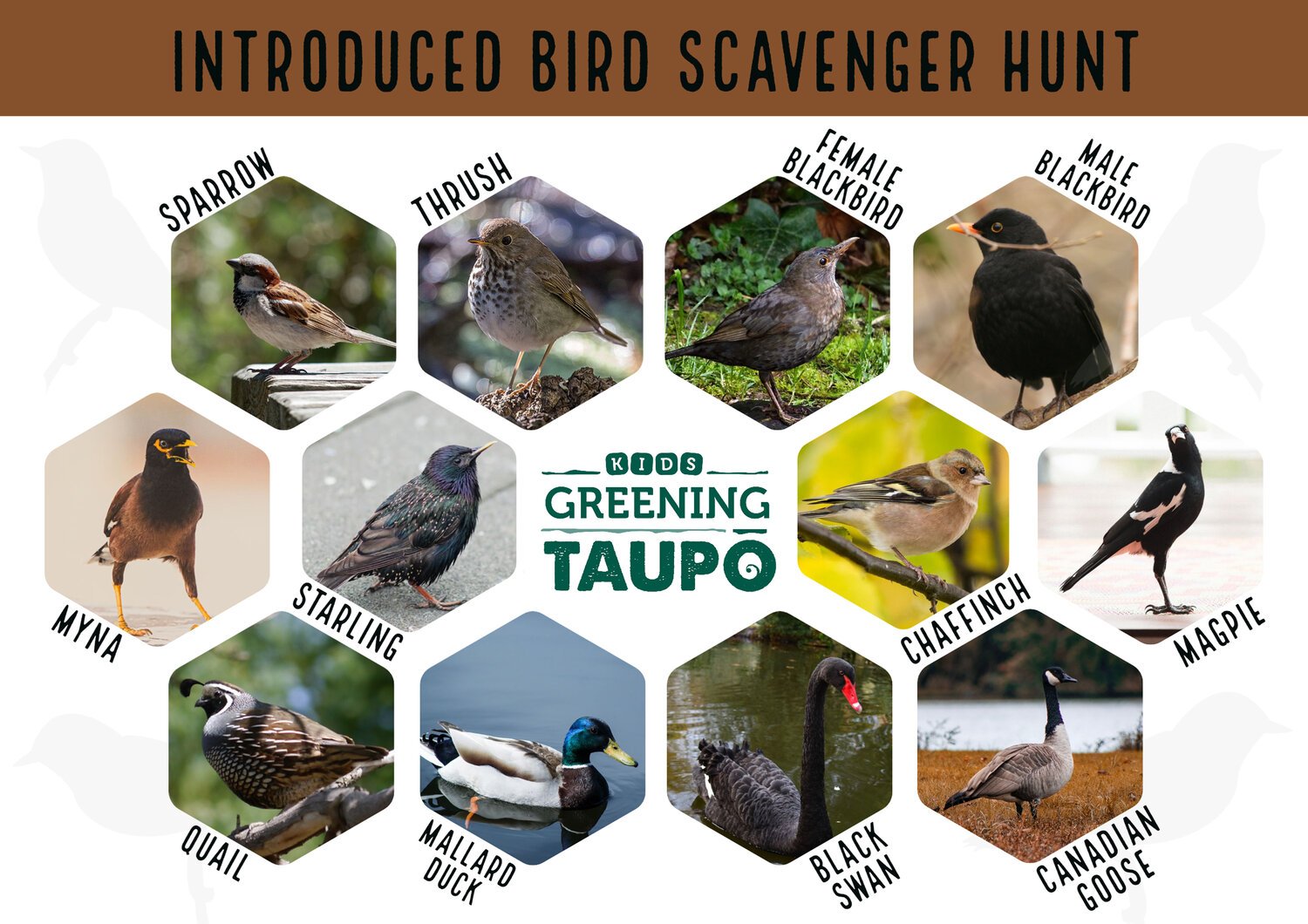 Introduced+birds+scavenger+hunt+copy.jpg