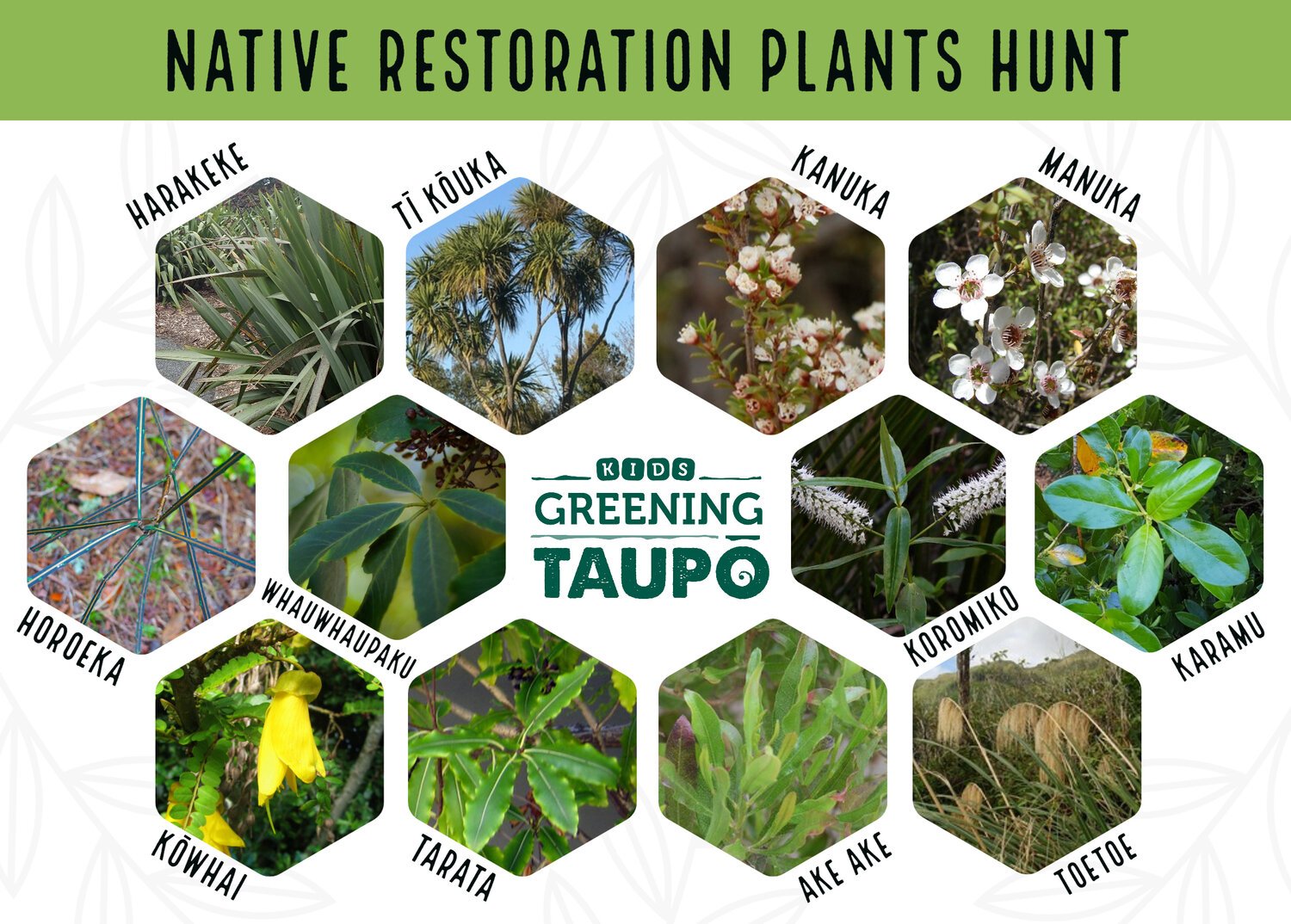 Native+restoration+scavenger+hunt+jpg.jpg