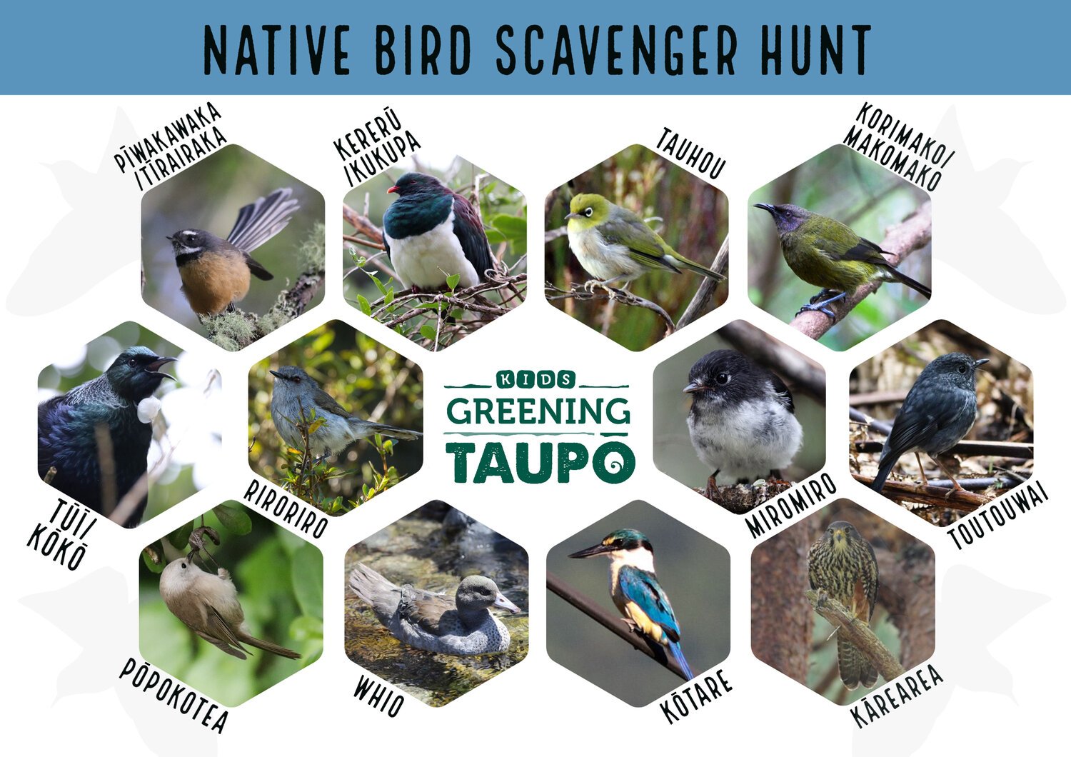 Native+birds+scavenger+hunt+copy.jpg