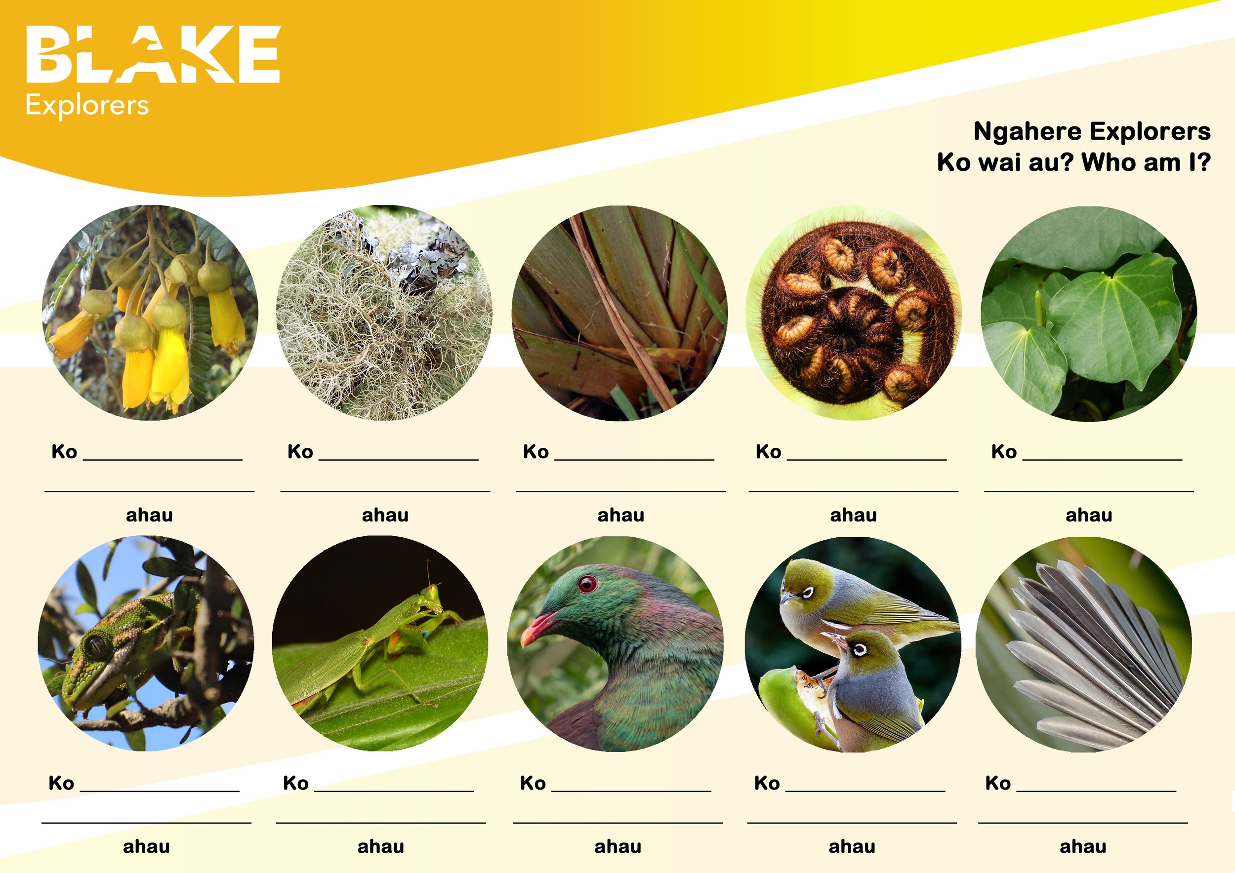 Education Activity Sheet
