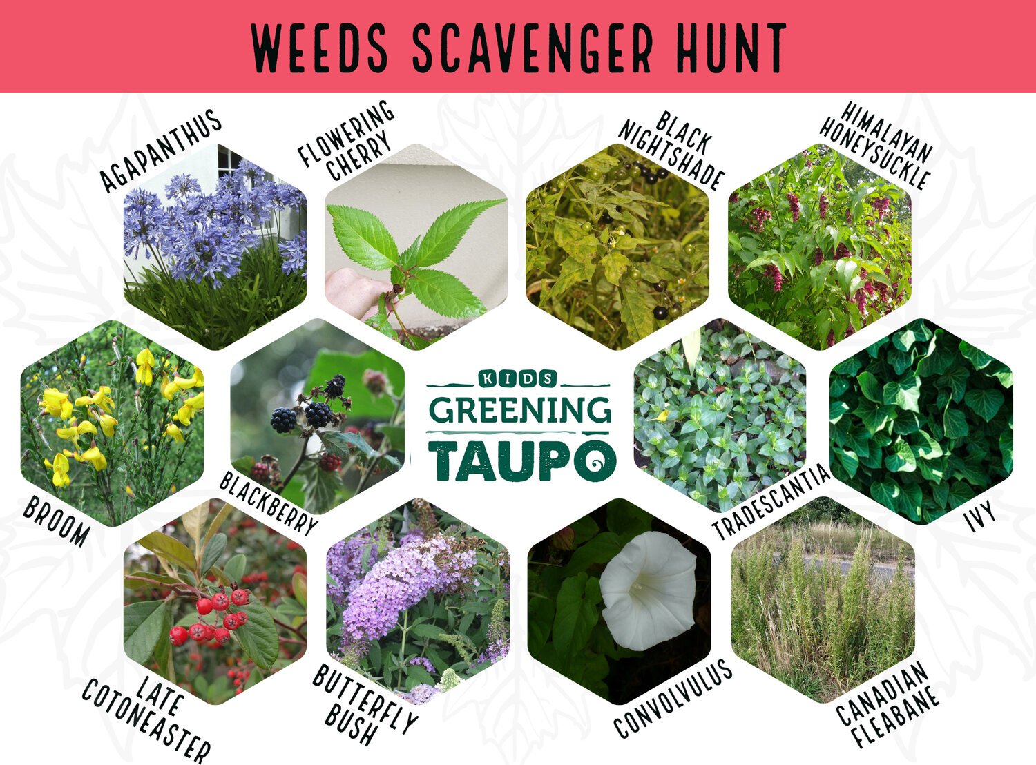 Weeds+scavenger+hunt+Copy+2+(5).jpg