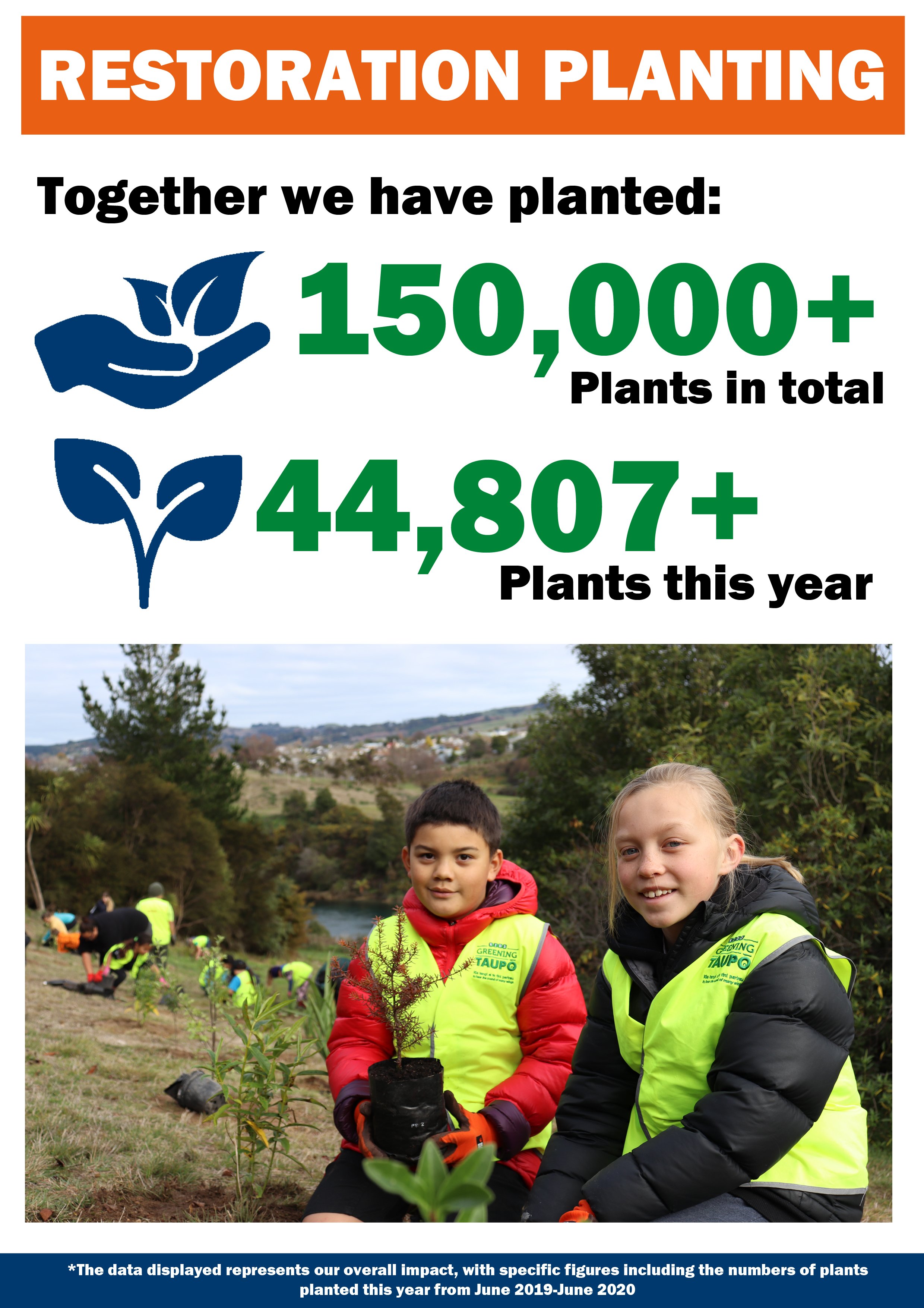 Plants copy.jpg