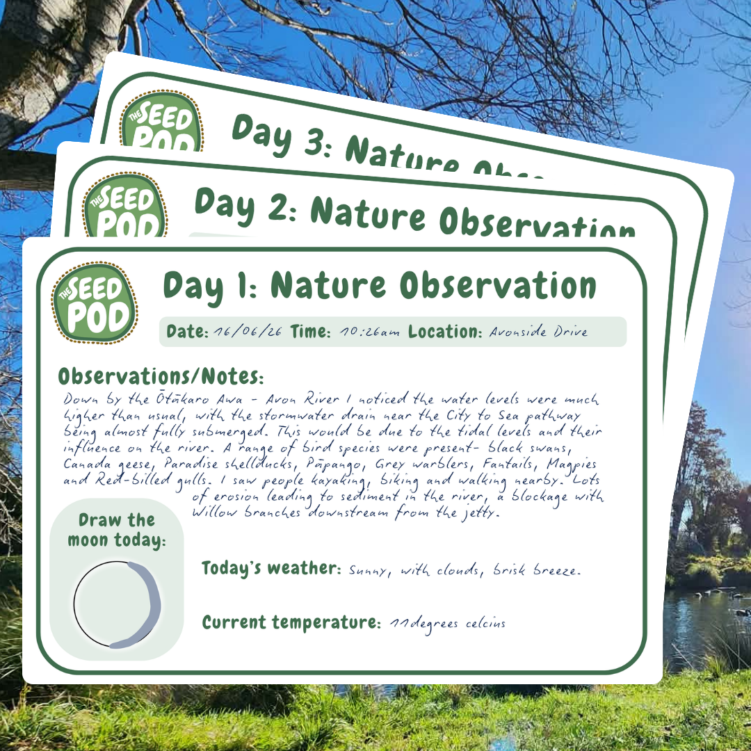 Nature Observation Over Time