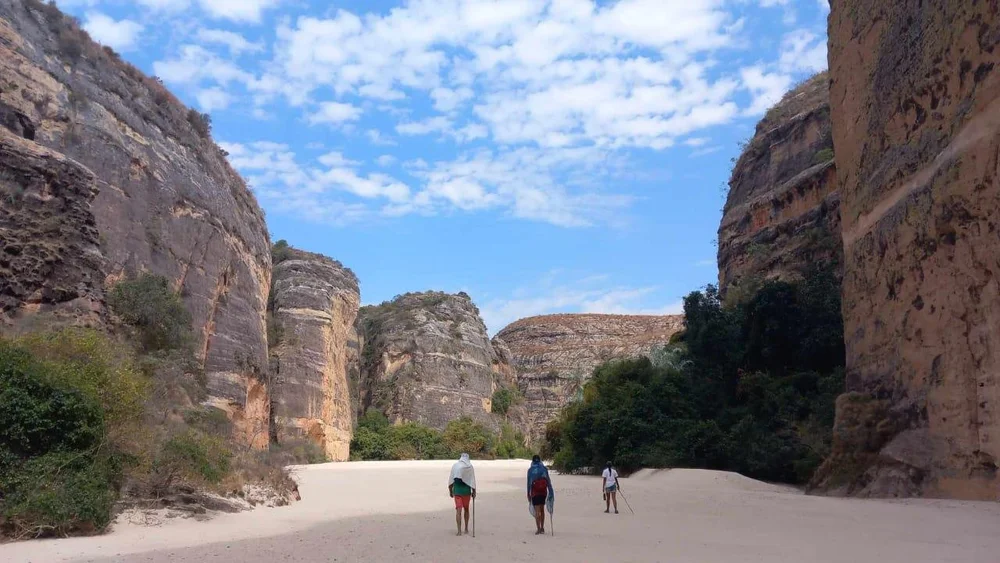 WhatsApp Image 2025-01-23 at 12.33.28 PM.jpeg