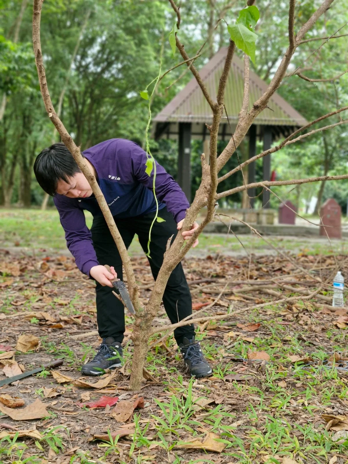 activity-2-sawing-wood.png