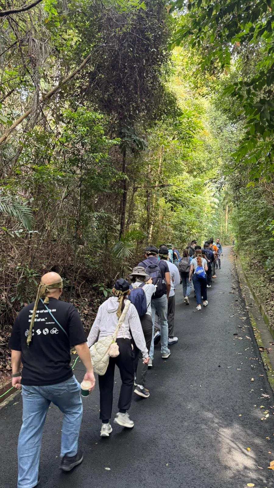 Colleagues walking single file up a forested trail at Fort Serapong on Sentosa