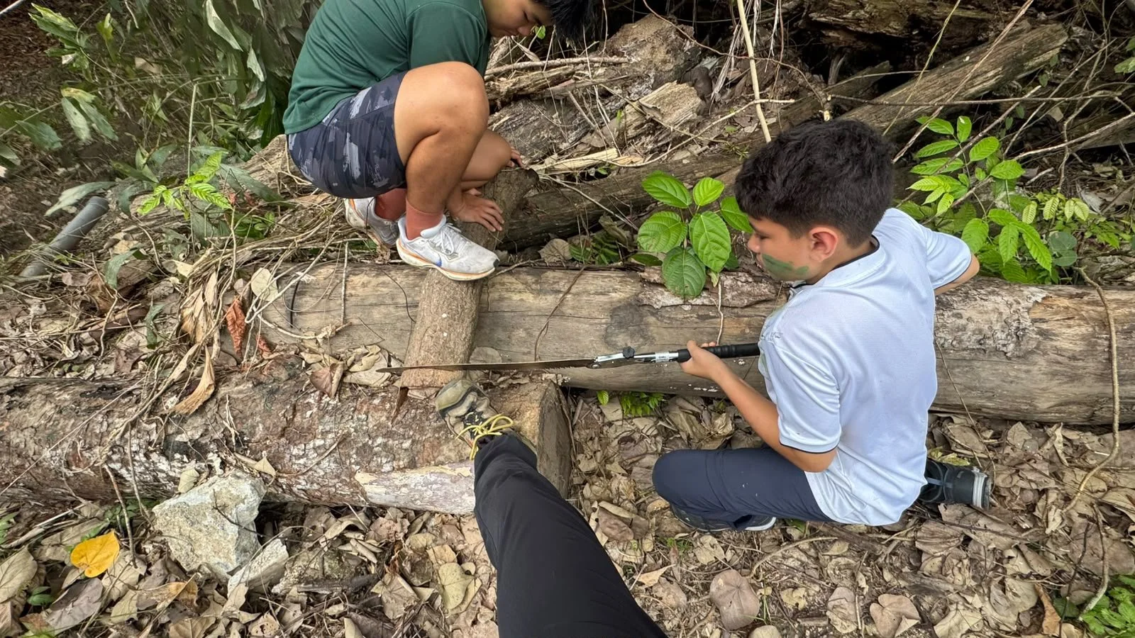 Guide crouched on the far side of the log while the boy keeps working the saw through it