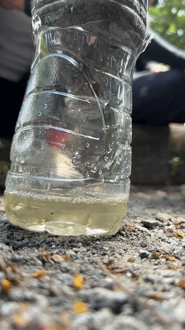 Improvised plastic bottle water filter standing on gravel with the filtered water collected in the base