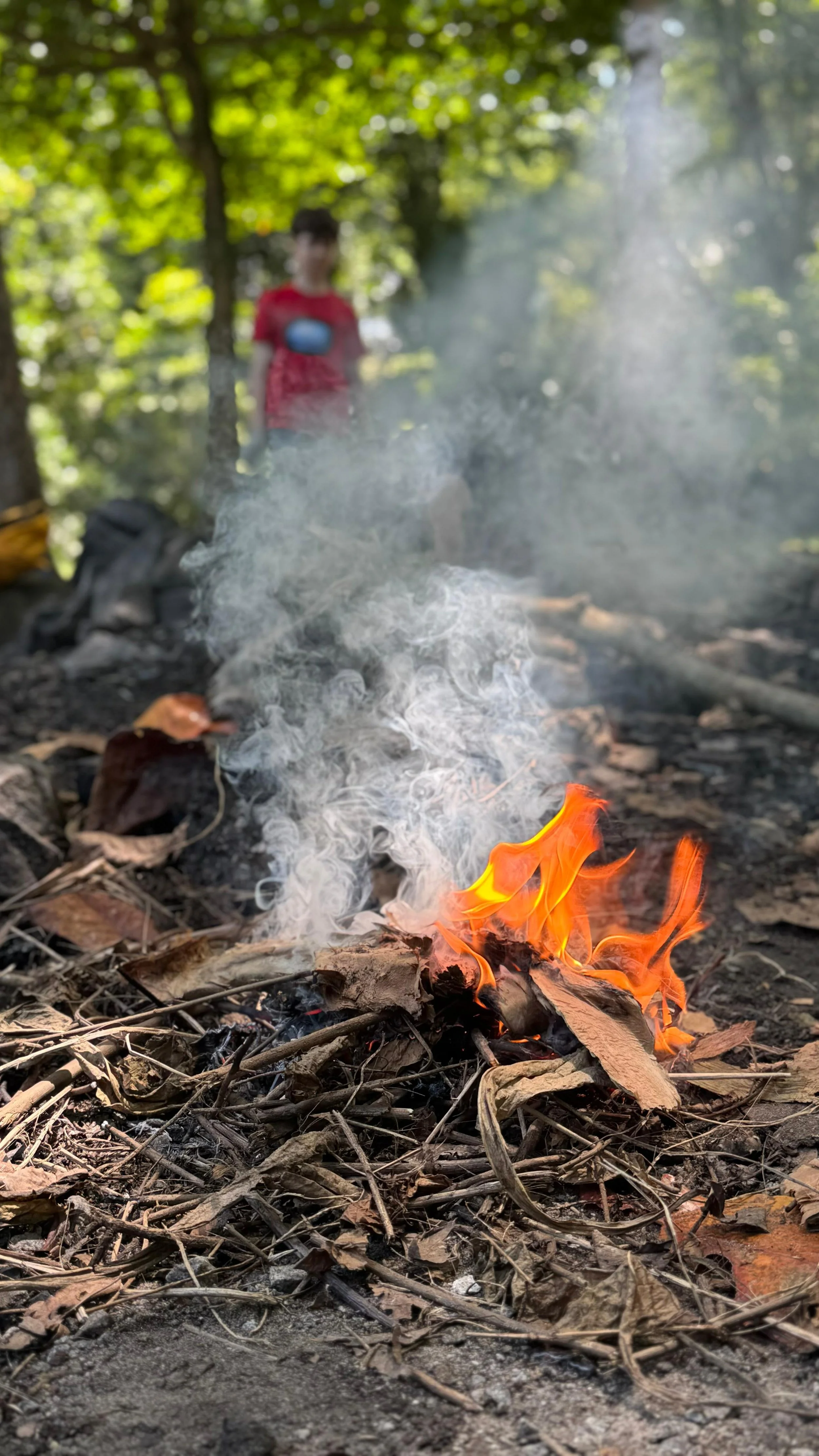 Small campfire with orange flames and thick smoke rising from leaf litter, a child blurred in the background.