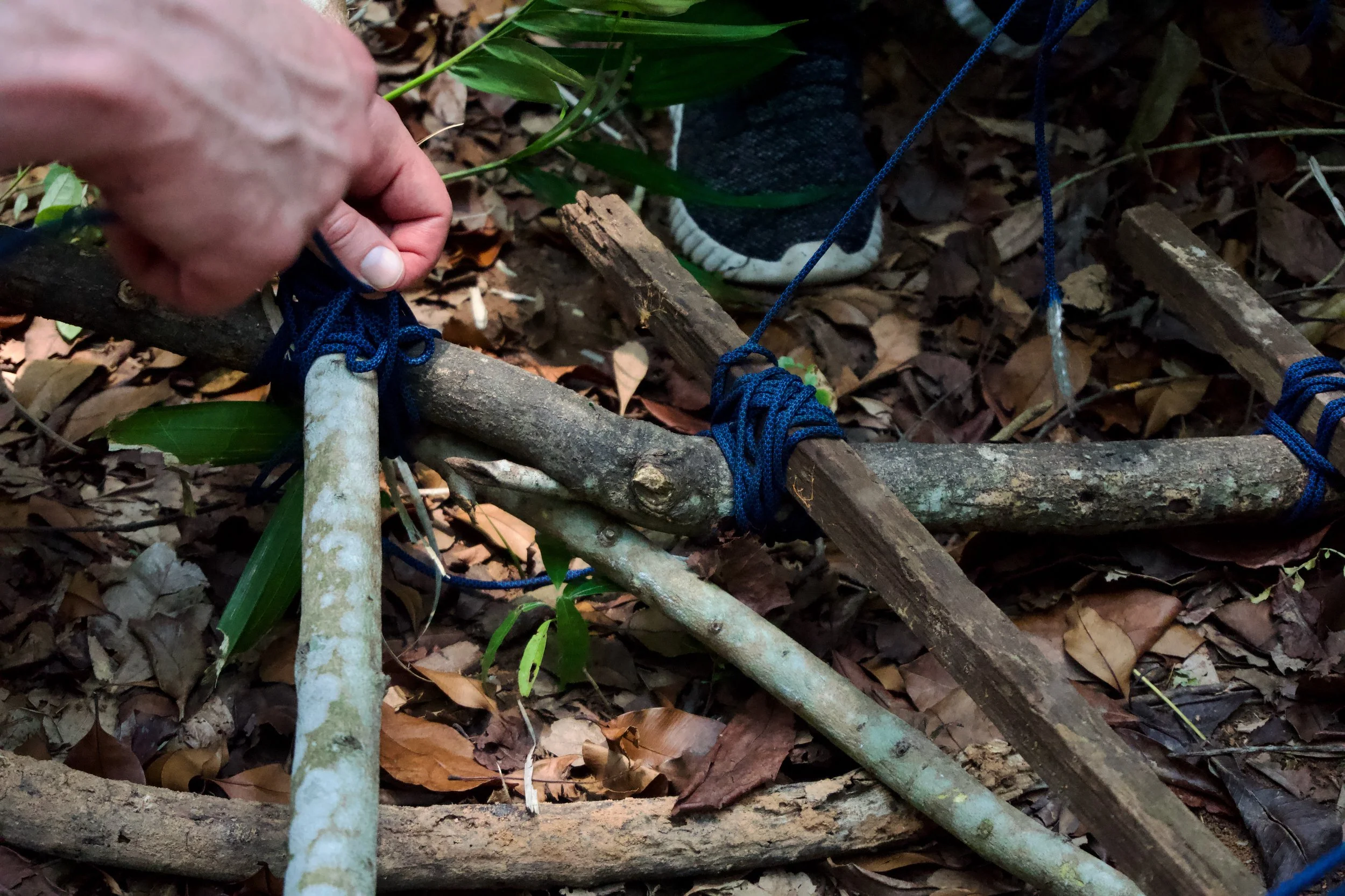 Close-up of blue cordage lashing two wooden poles together on the forest floor during improvised stretcher construction.