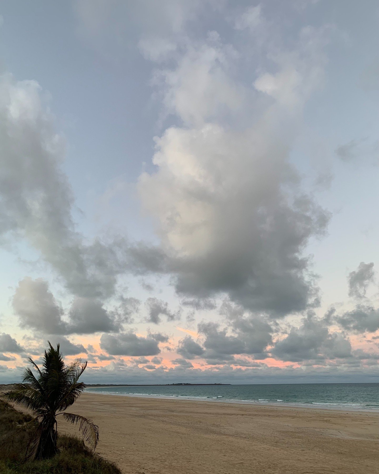 The weather is heating up and we may all be going troppo. I've unleashed banana mania and learnt a few things. 

🍌 There are hundreds if not 1000's types of bananas
🍌 Kasper had never heard of Bananas in Pajamas until recently
🍌 The 90s advertisem