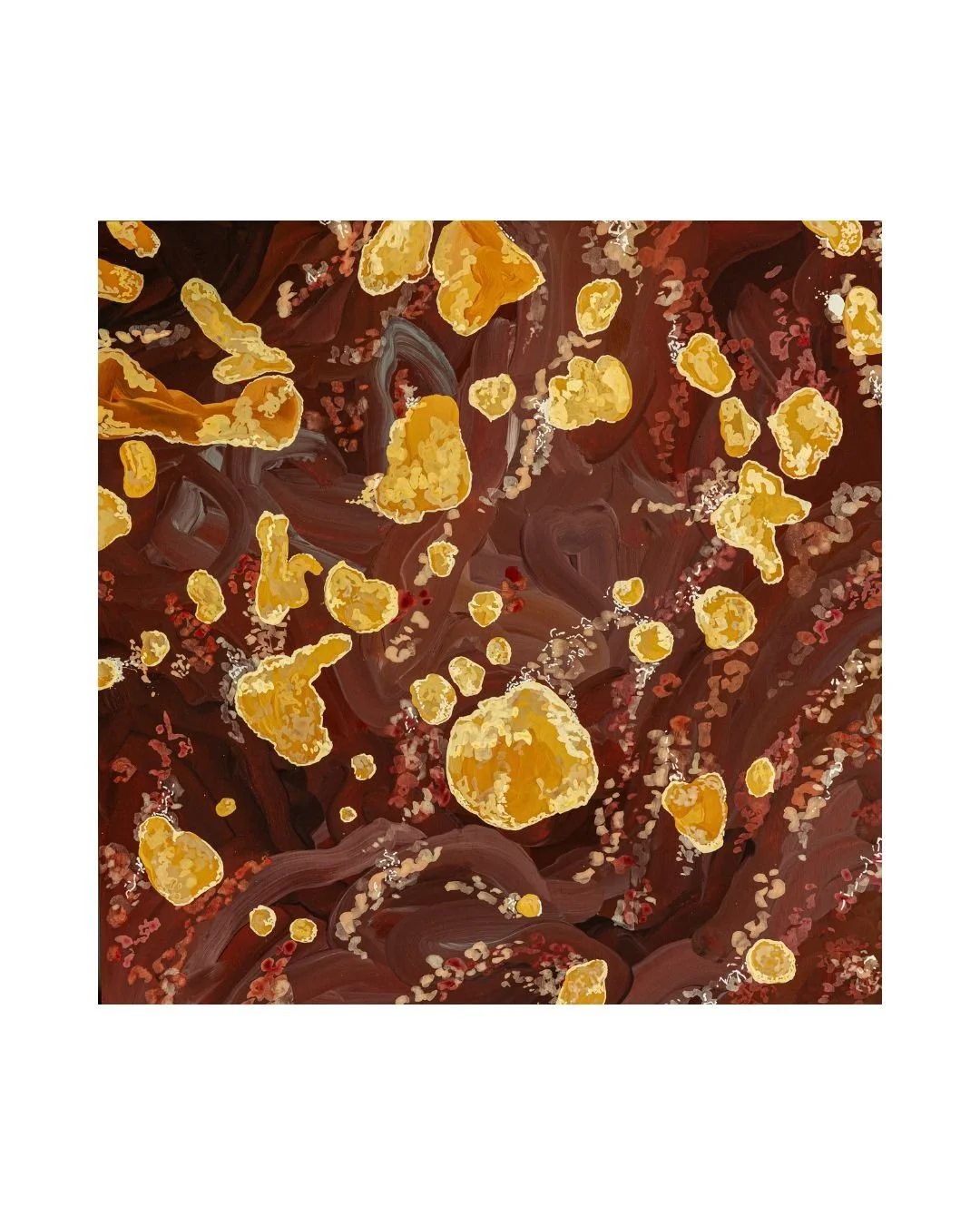 Just a reminder if you are Rubibi/Broome based. I currently have a few paintings in stock at @redbillstudiogallery 🌱

All inspired by the coastal surrounds of Rubibi / Broome. Available works on paper, canvas and birchwood, take your pick! Head to t