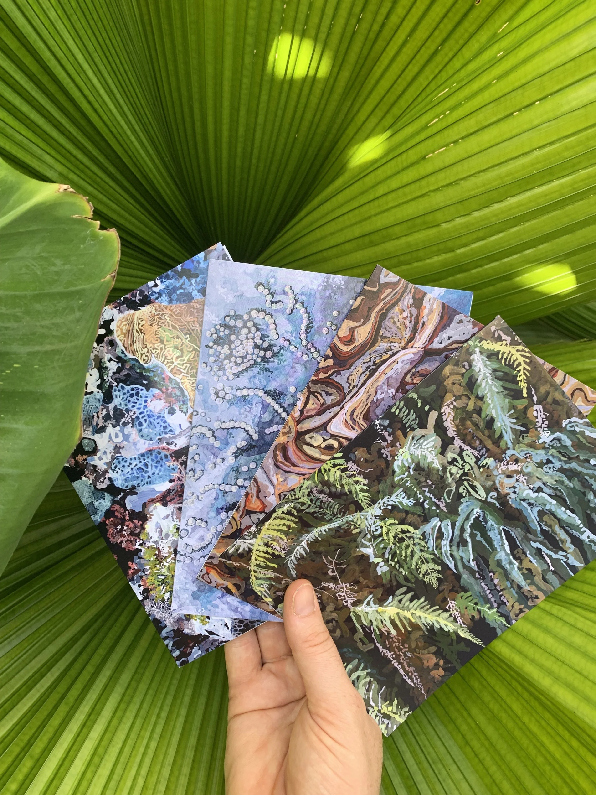 A5 Greeting Cards- Four Pack