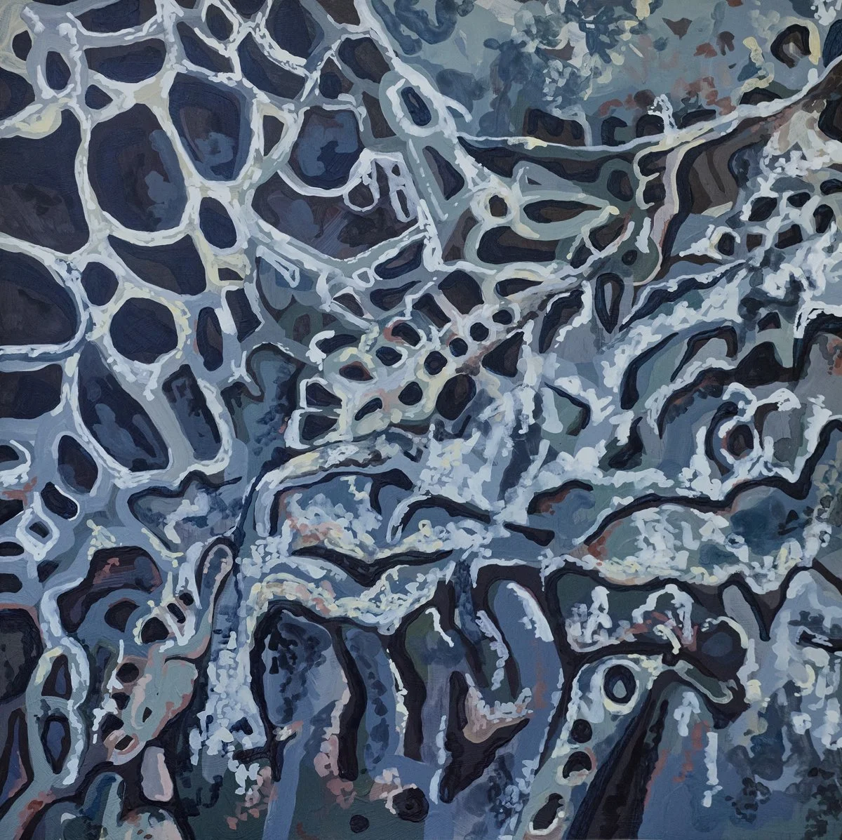 Honeycomb Rocks at Reddell Beach.jpg