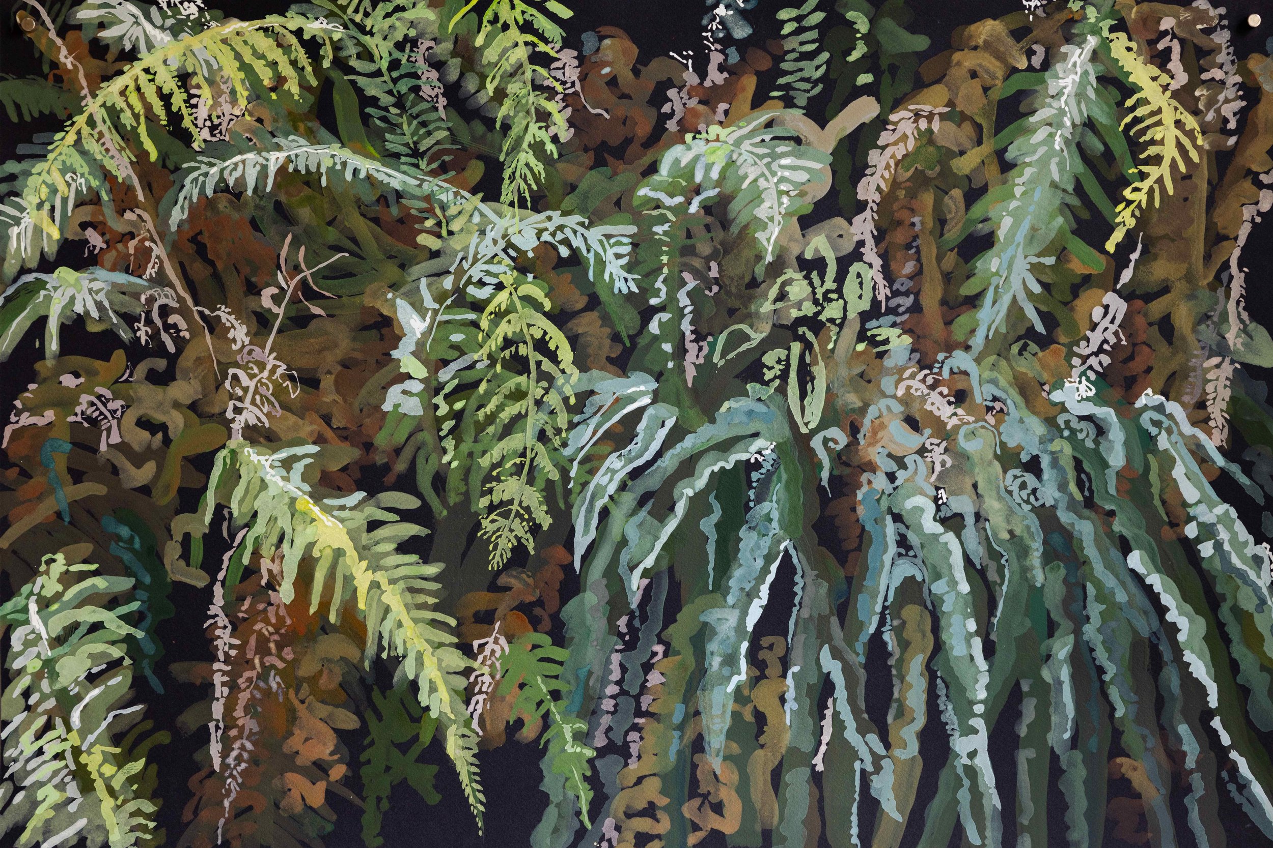 Listening for Lyrebirds.jpeg