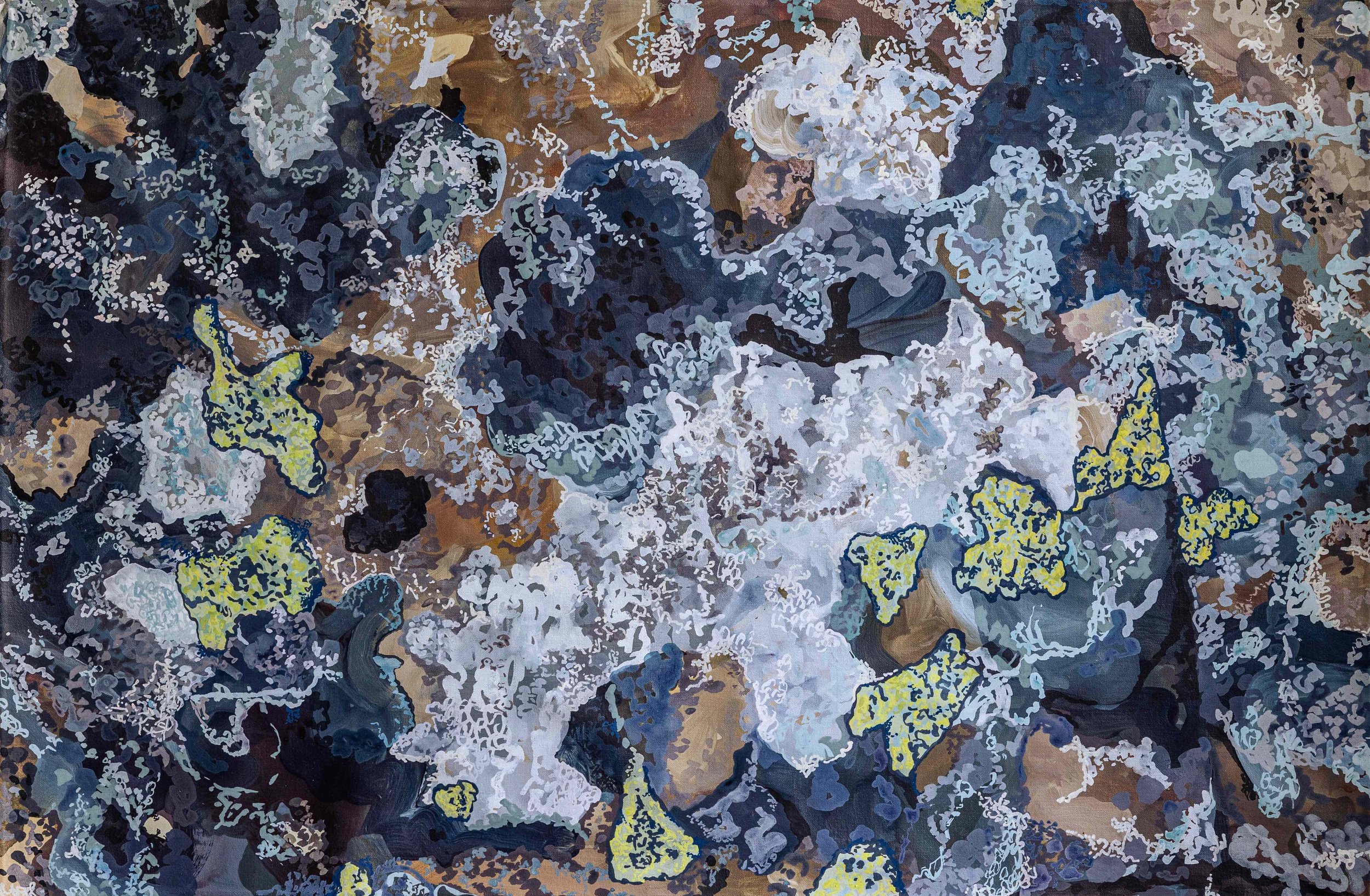 Lichen in the Mountain Forest.jpeg