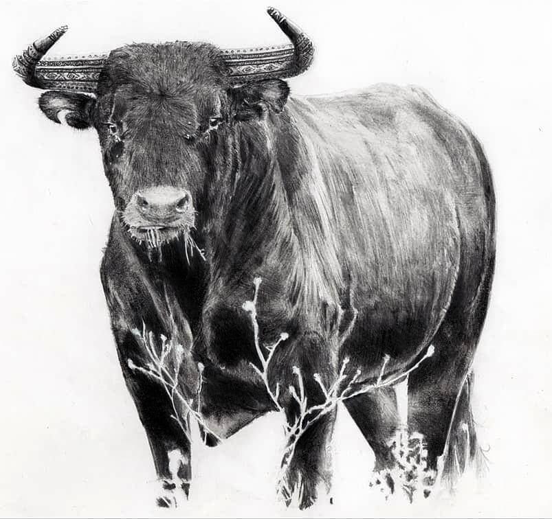 Aztec bull commission . Finished early 2019 #artist #artwork #artgallery #artlife #artlover #artbook #artempire #penandink #pencil #drawing #drawingoftheday #artistoninstagram #arte #drawing #draw #drawings #animals  #artistic #art_help #art #photore