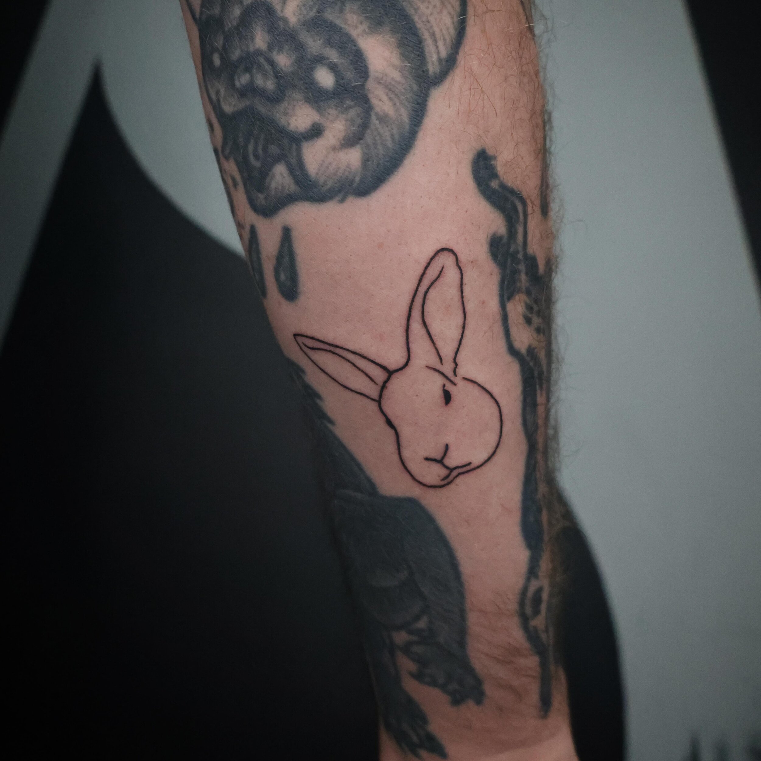 Had the absolute pleasure of popping this little gap filler of my mate&rsquo;s rabbit into his collection. Thank you @sawyerphill, awesome to have you in the studio.

Get ready to see what we worked on after this little piece. 🔥

#tattooapprentice #