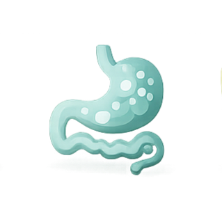 Illustration of a human stomach with a small intestine beneath it.