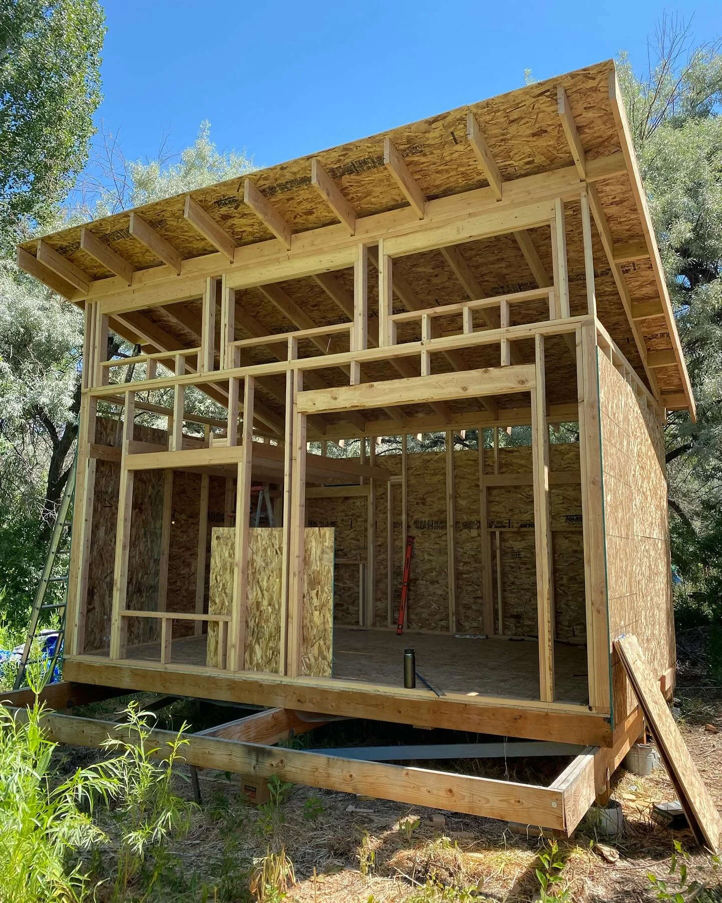 I have taken a bit of a hiatus from posting while directing energy towards a special little dwelling among the hot springs, big sage, and bird sanctuary of my childhood home. 

To see this long-time dream come into physical form in a multi-generation