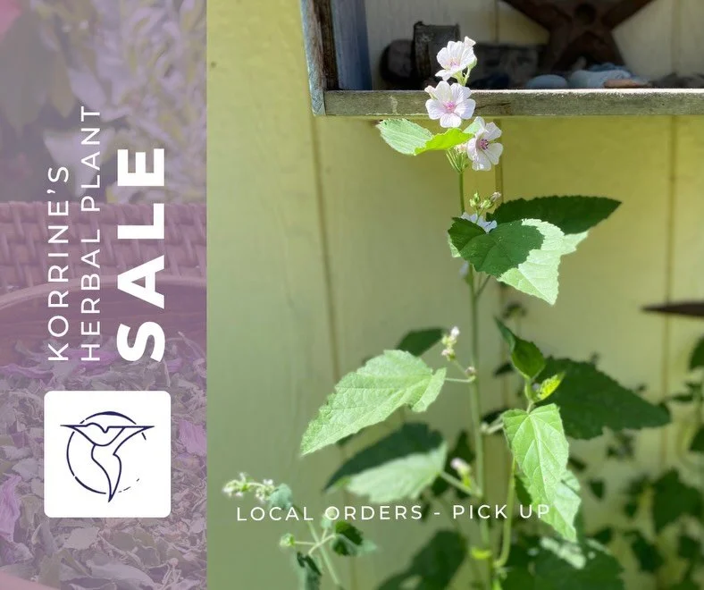 This week I have plants for sale. Most of the varieties are medicinal. They all need to go!

Send me a DM, call, or email to schedule a time to stop by and browse. 

-Korrine 

Lapisskyofferings@gmail.com