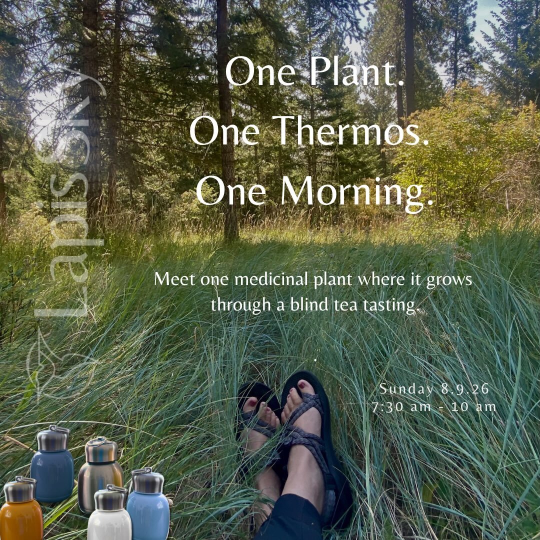 One of my favorite discoveries to witness is this moment:

&ldquo;I&rsquo;ve been drinking tea with this plant in blends for years, but I&rsquo;d never tasted it on its own. I never realized what flavors it was bringing to the blend.&rdquo;

Most her