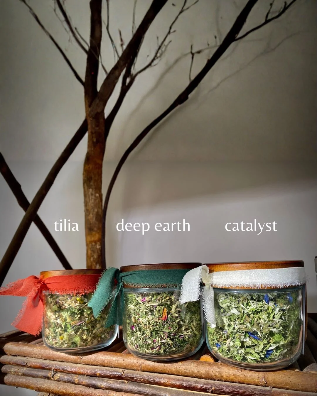 I&rsquo;ve been busy blending and filling jars with this season&rsquo;s herbal teas, just in time for the holiday markets!

This year, I&rsquo;m offering three blends, each with its own character.

Tilia &mdash; A soft, floral evening blend with lind