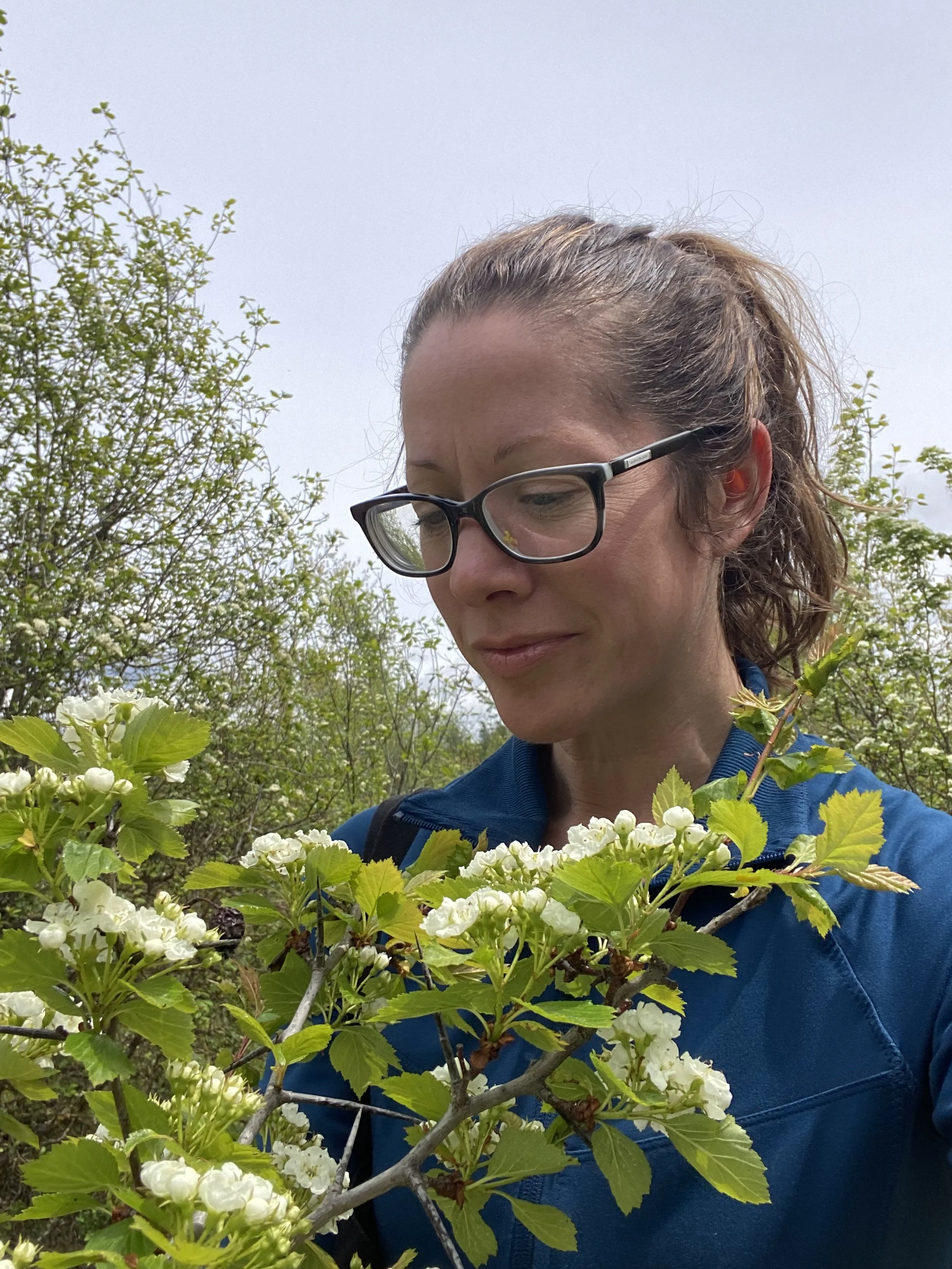 Hawthorn Flower.jpg