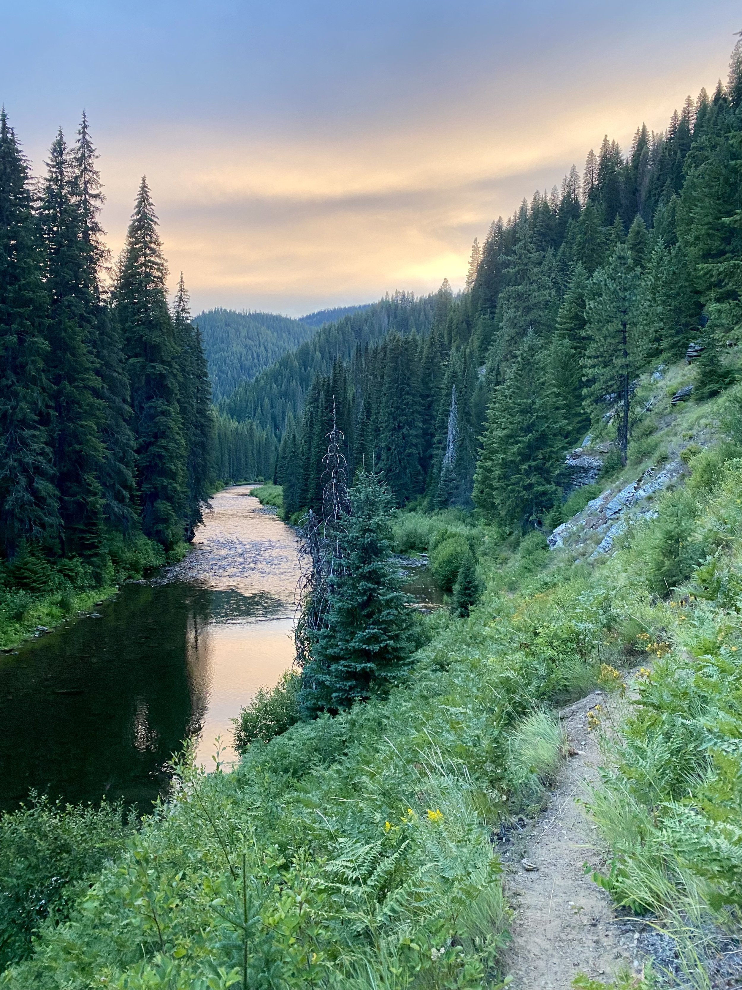 For generations, people have been captivated by plants from distant lands. Yet I find myself increasingly enchanted by the plants growing close to home.

The plants around us offer an invitation to know the place that shapes us both.