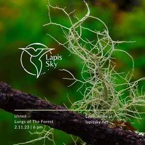 Usnea