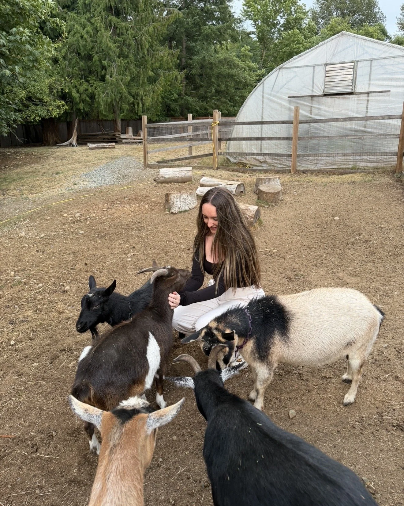 Goat Farm Experience