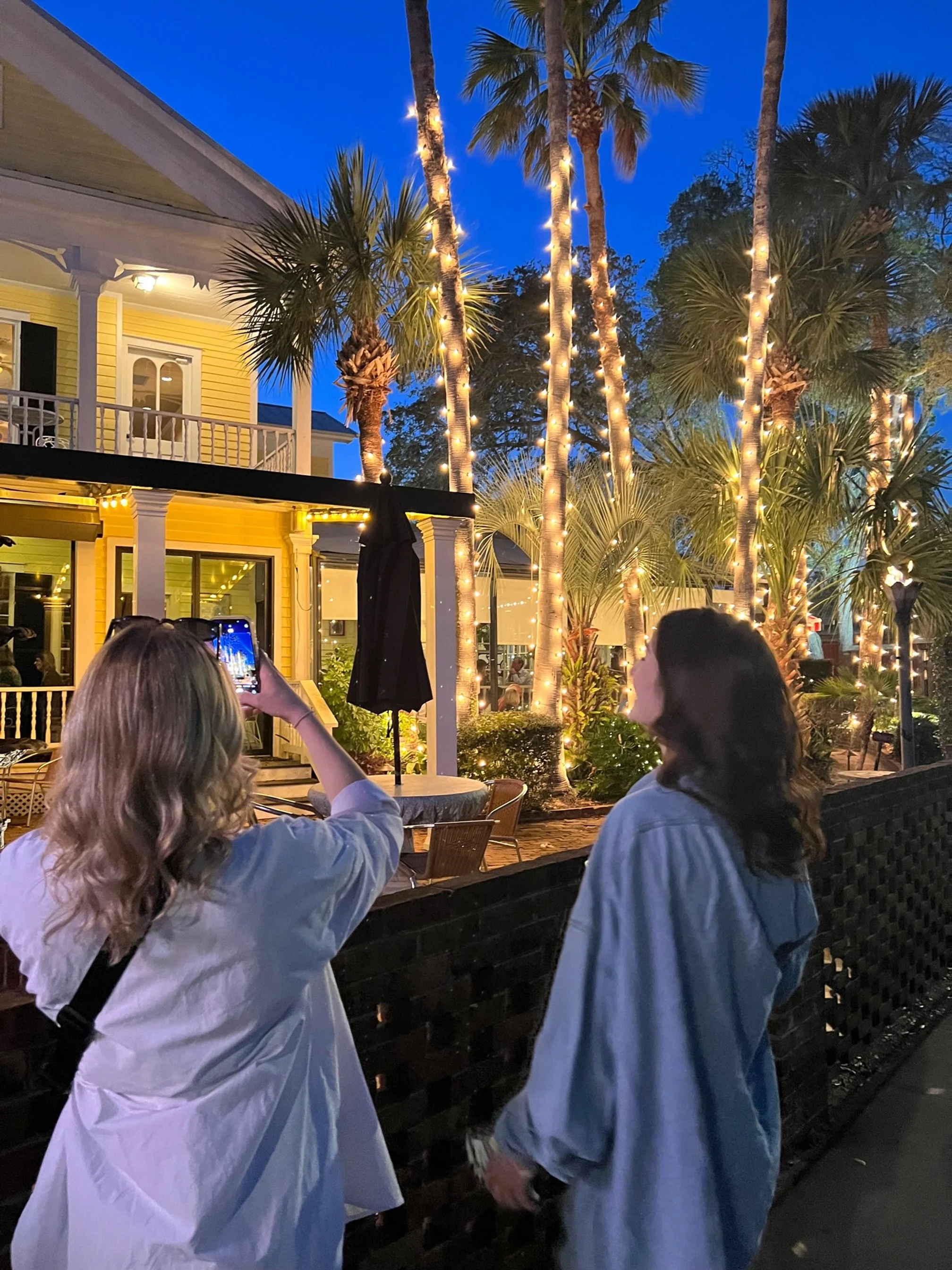 2 girls backs looking at lit up palm trees
