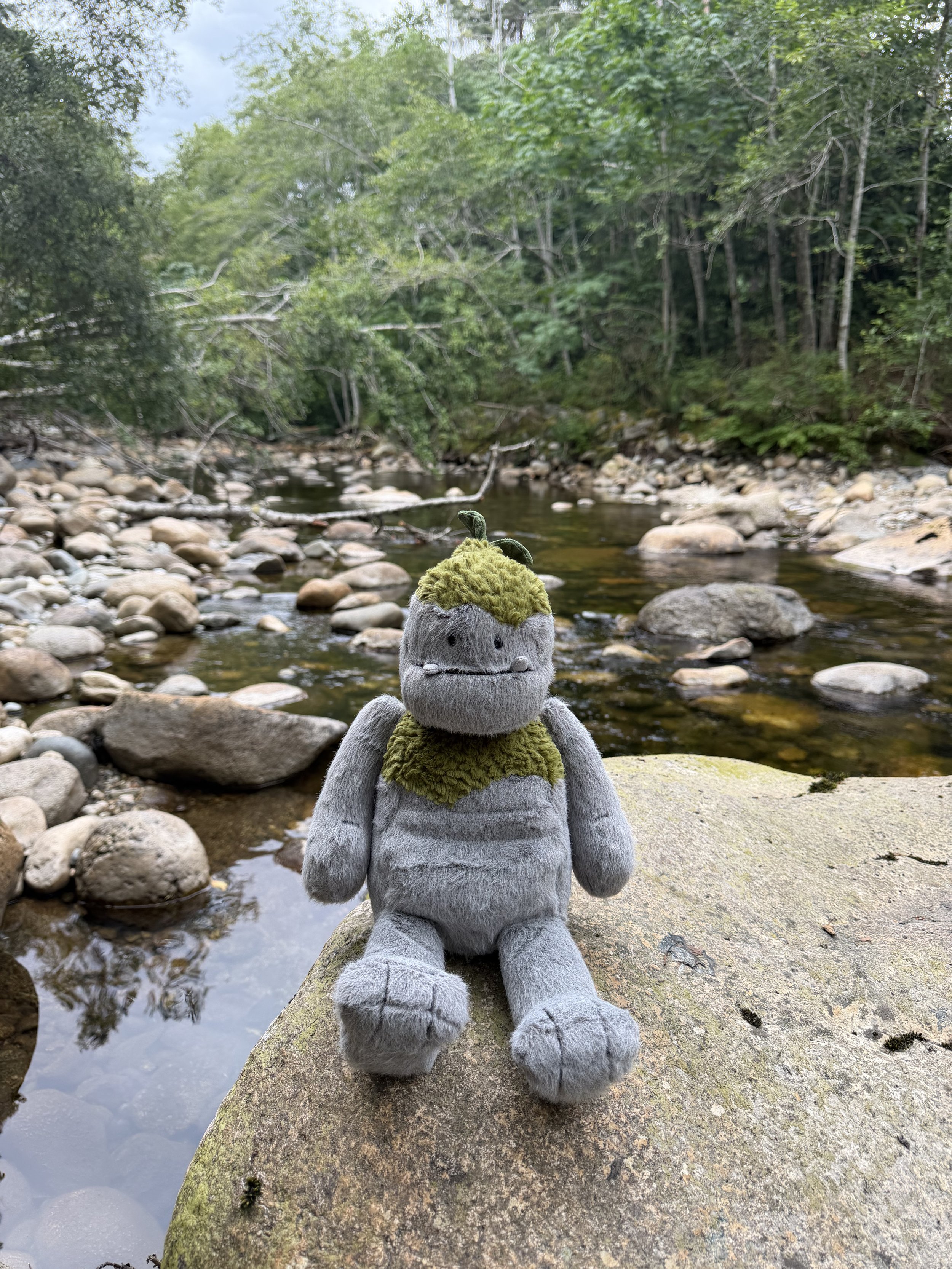 Rockleton on a rock