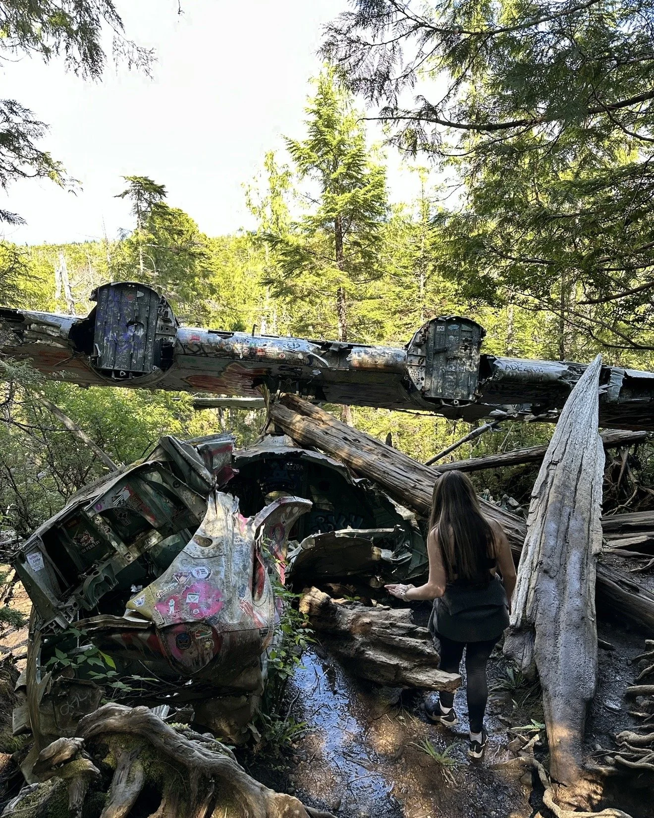 Canso plane wreck