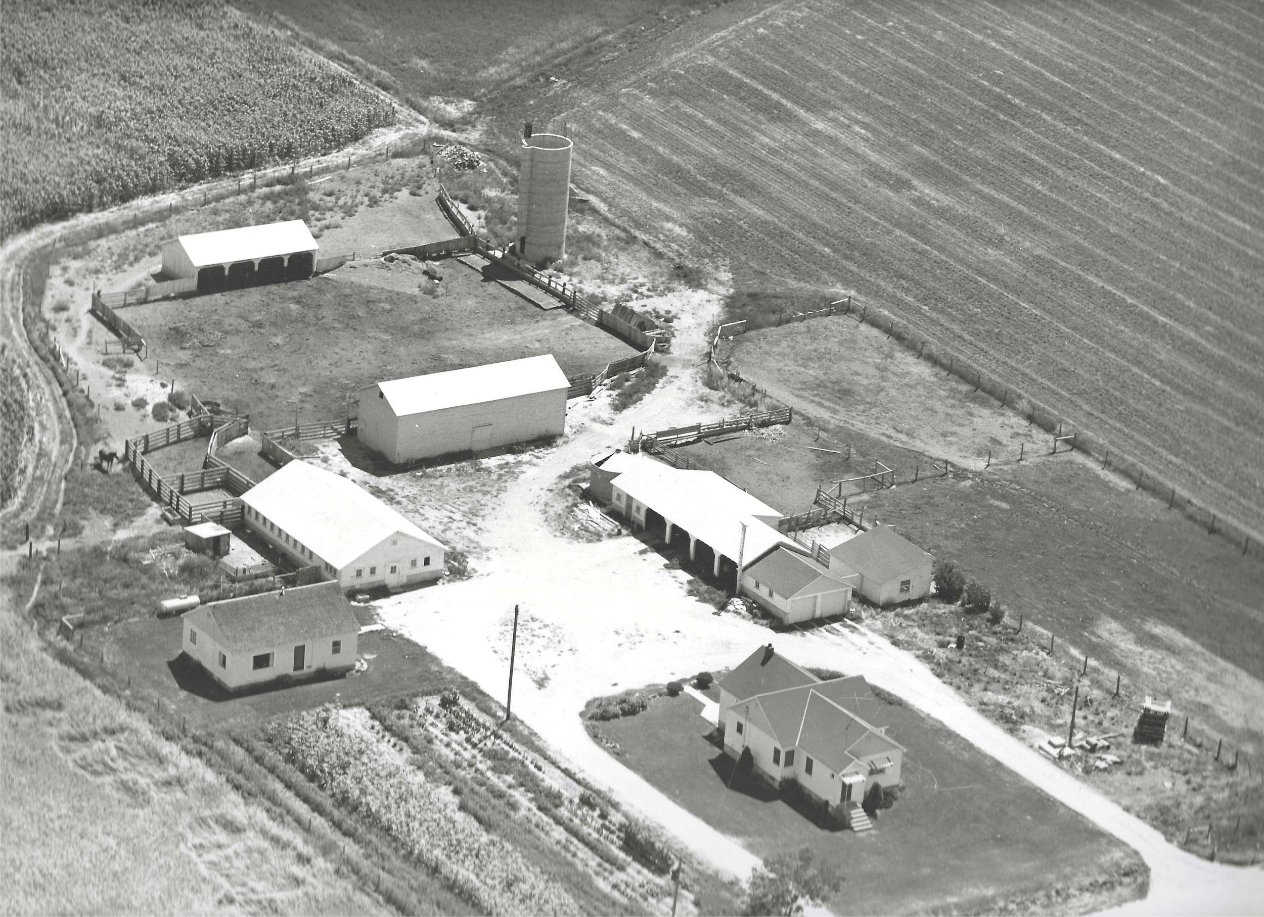 KDPhoto1.jpg