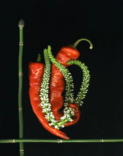 "Embrace" by Doug McLarty, matted scanography print, 11"x14"