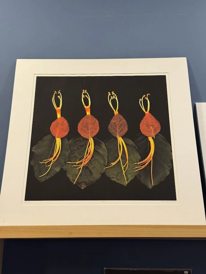 Scanography print by Doug McLarty