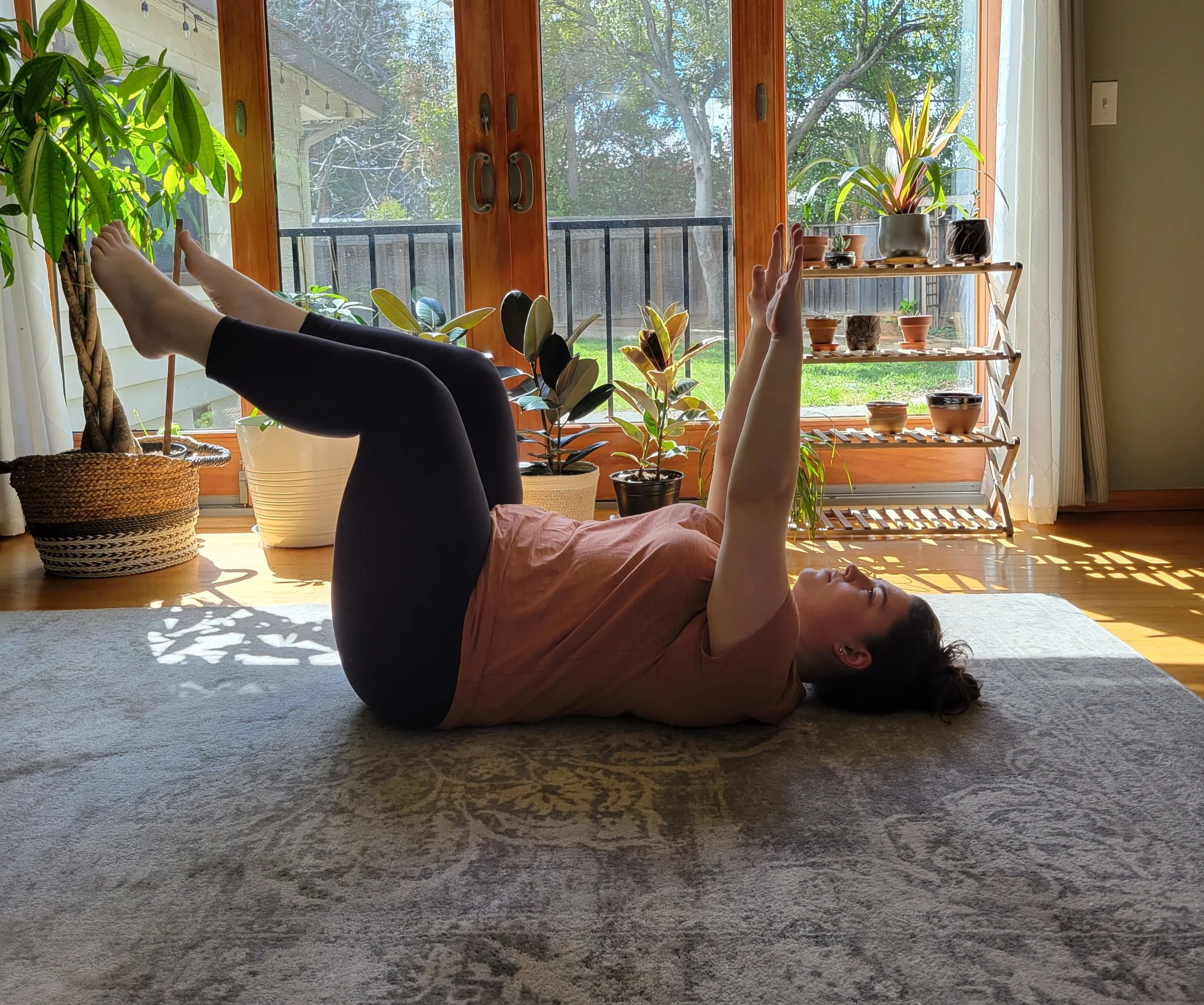 webster chiropractor san jose