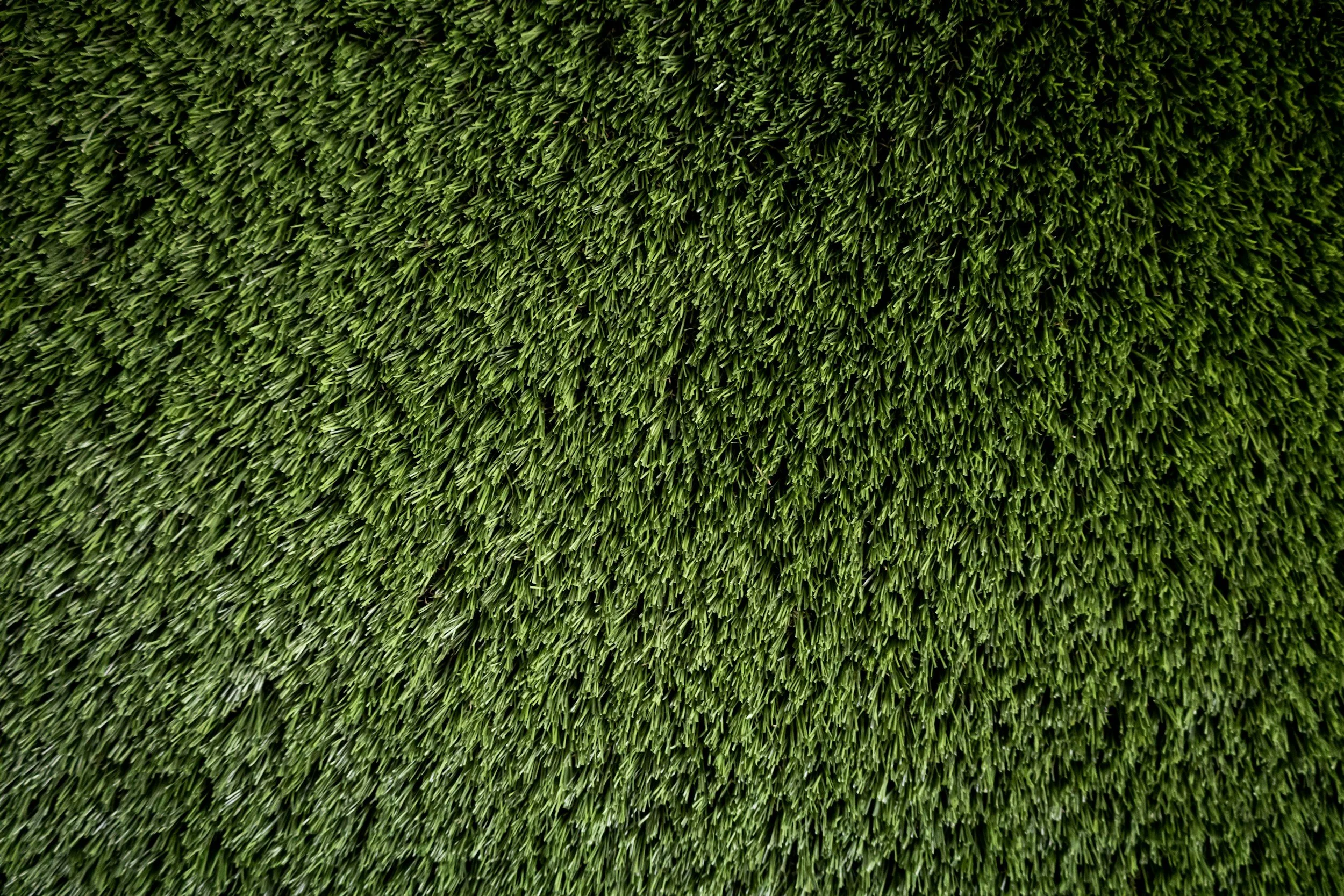 Giusti Family and Artificial Turf Installation in Charlotte, NC