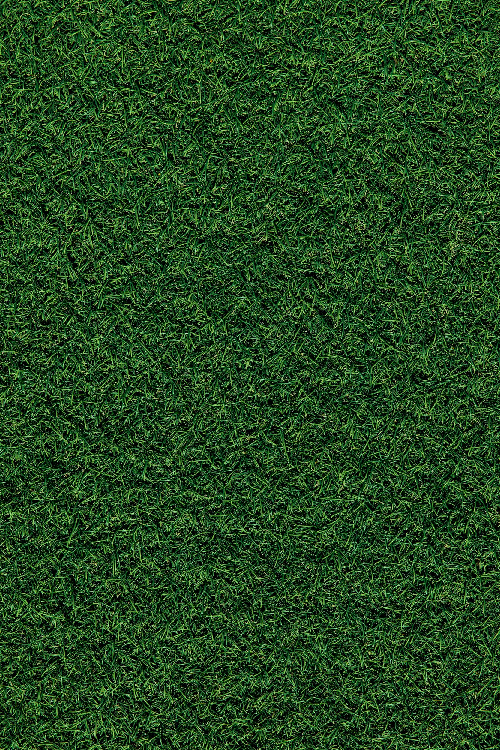 Commercial Landscaping Project for a Dealership in Monroe, NC