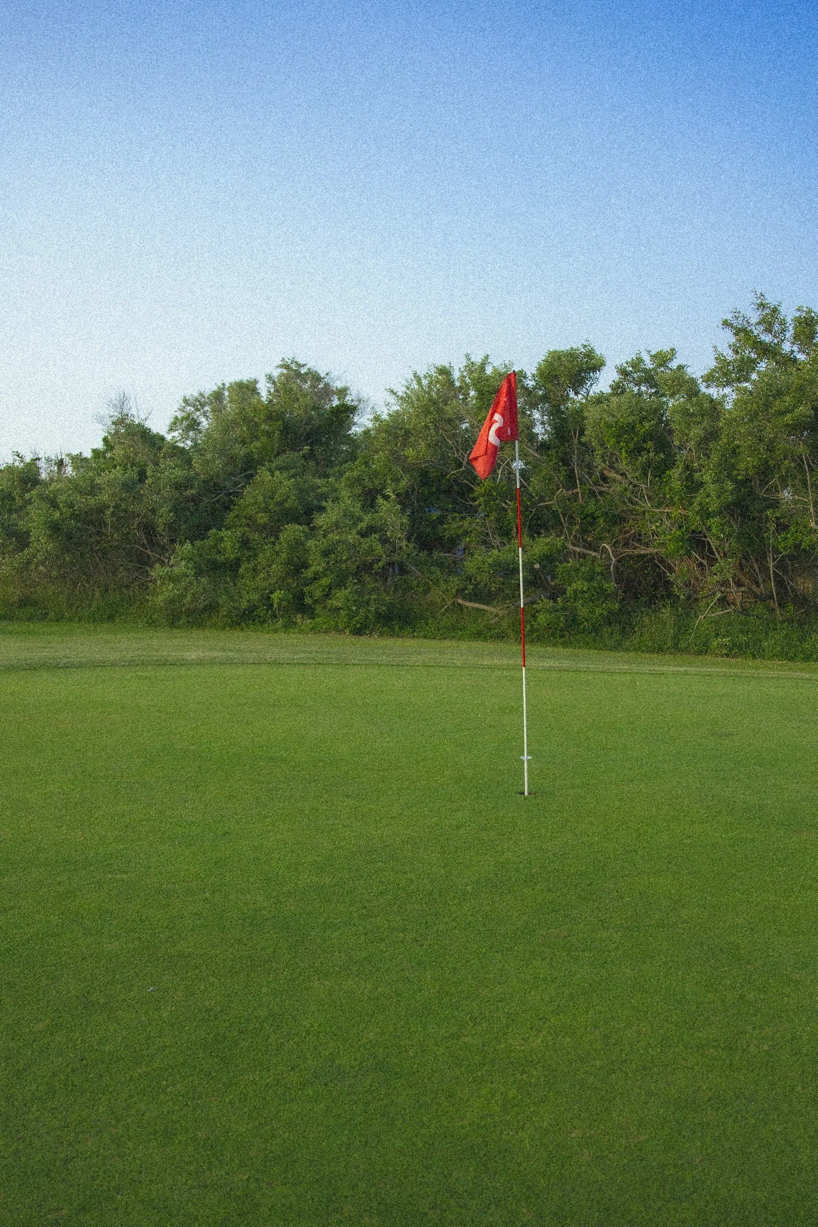 Backyard Putting Green Transformation for the Mathis Family 
