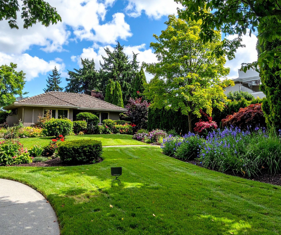 Vibrant residential landscape featuring a manicured lawn, blooming flower beds, trimmed shrubs, and tall trees framing a one-story house on a sunny day