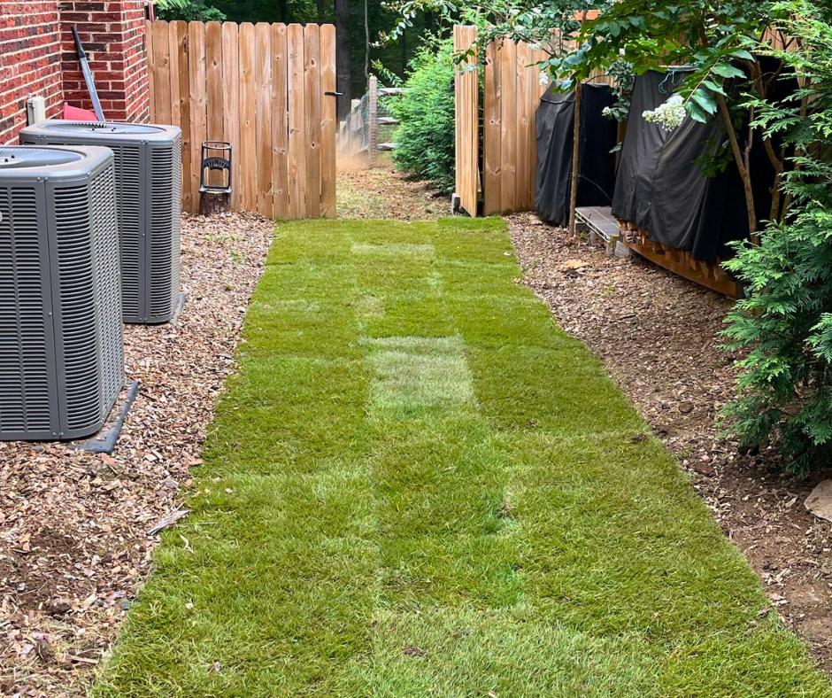 Freshly installed sod path laid in a narrow residential side yard, facing towards the backyard, sod bordered by mulch beds, with HVAC units on the left and wooden fencing and shrubs along the right