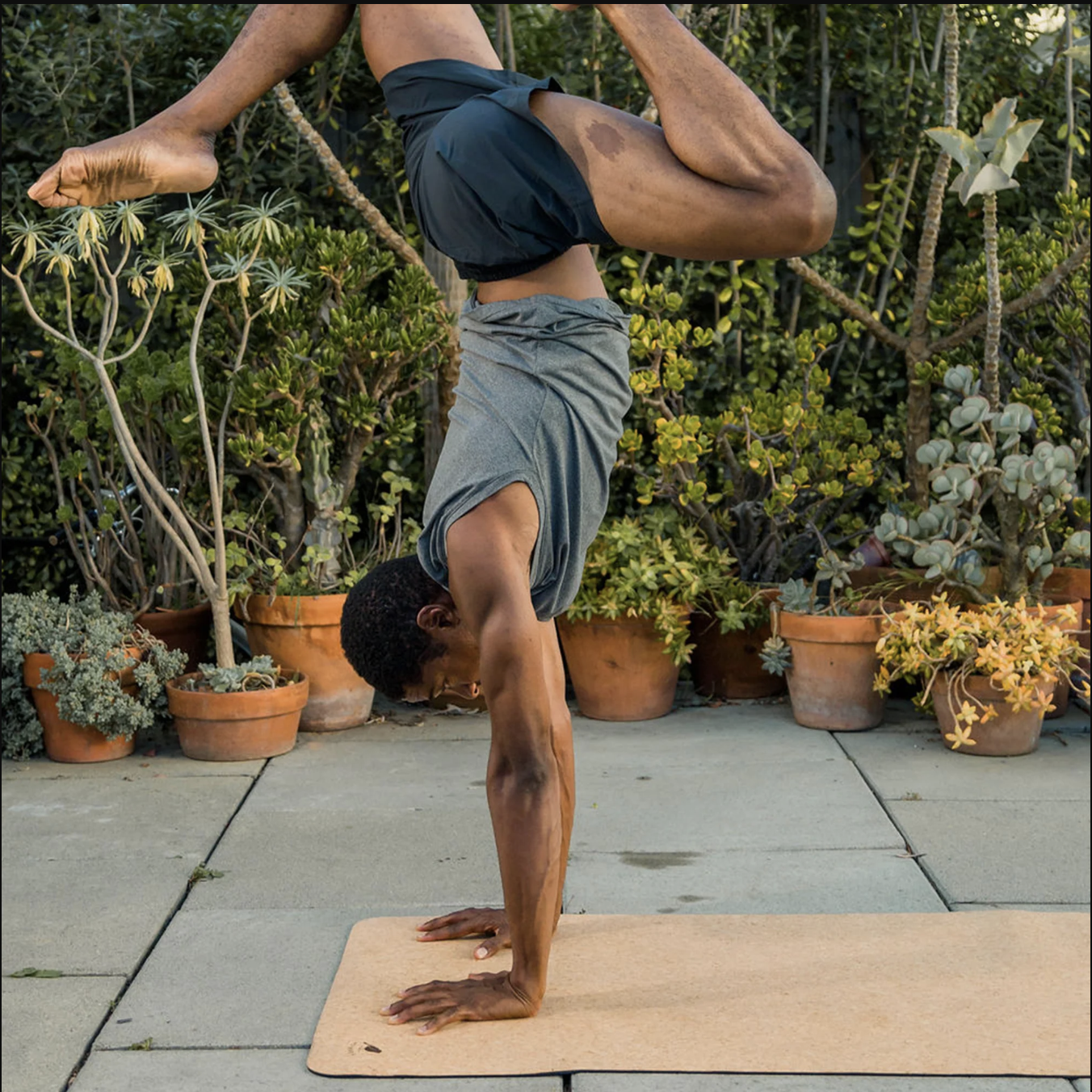 42 Birds The Robin Extra Long