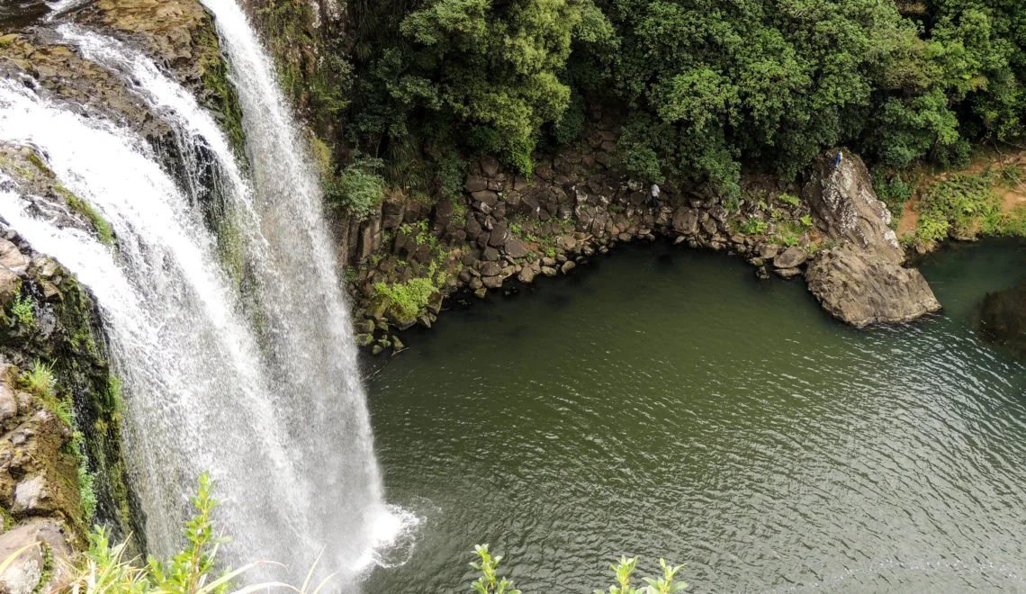 Whangarei Falls