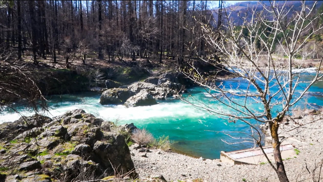 archie creek fire