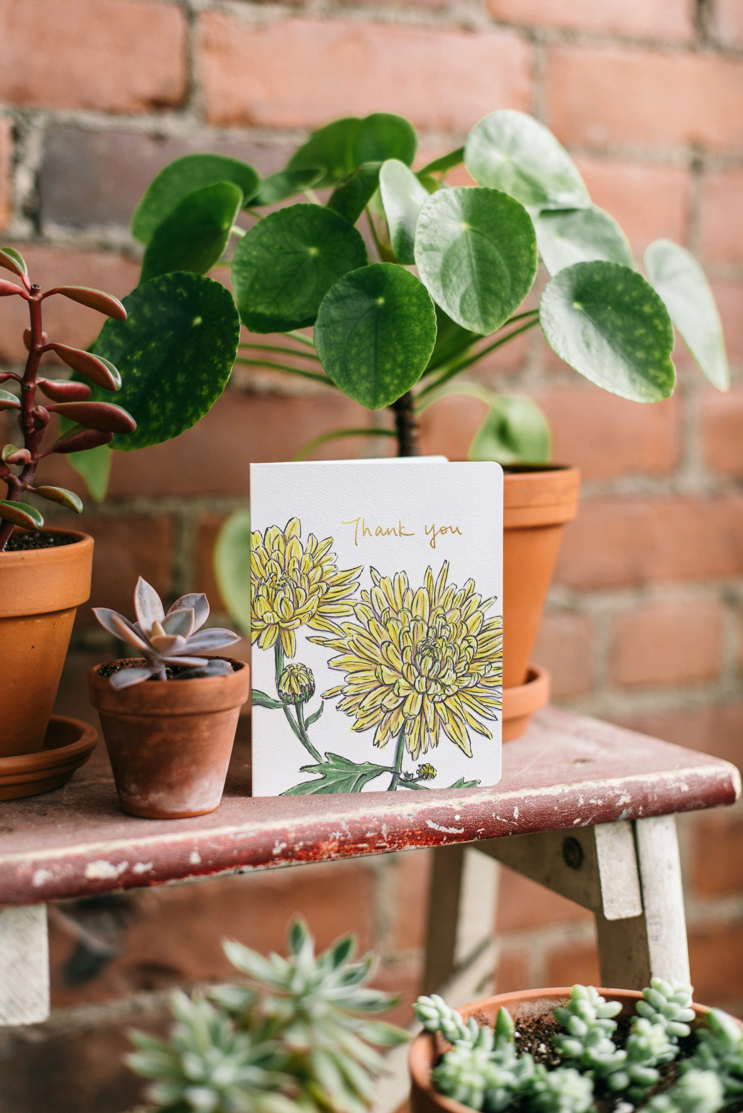 Chrysanthemum Thank You Card