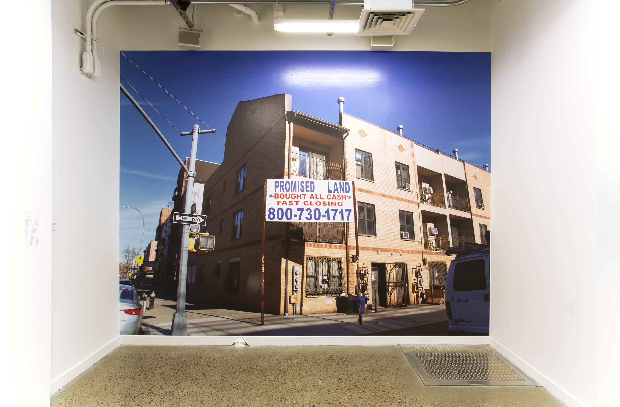   Promised Land (Brooklyn, NY, #2), 2019  Installation View,  Virtual and Real Estate , BRIC, Brooklyn, NY site-specific wall decal 120 x 156.5 inches 