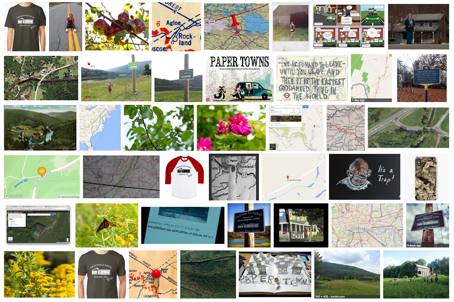   Agloe, NY (Google Image Search Screen Grab of the search term “Agloe, NY”)  Google Image Search Intervention 